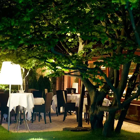 Ai Gelsi كودرويبو